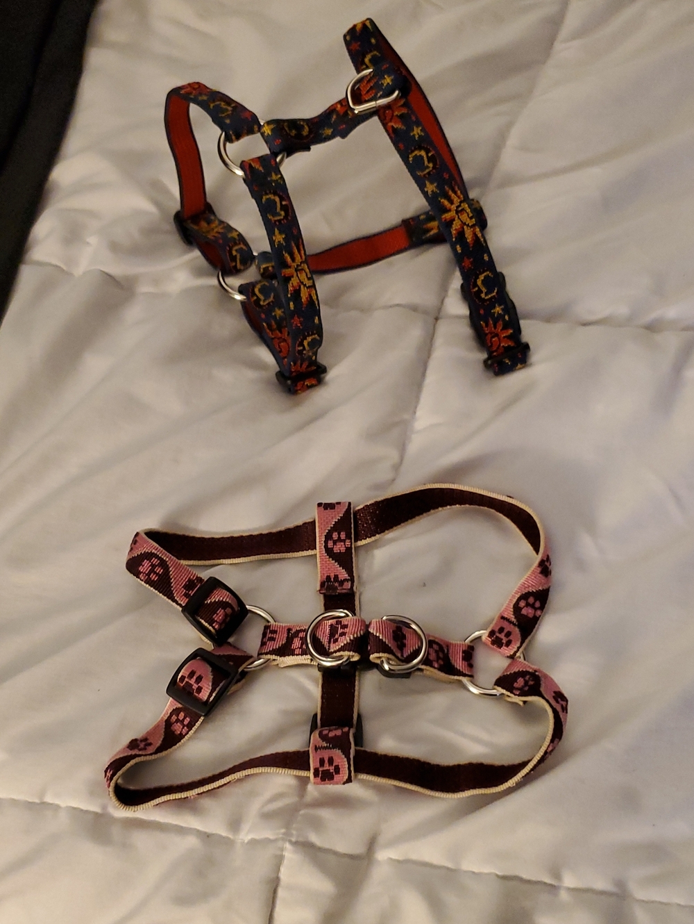 2 Lupine SMALL harnesses